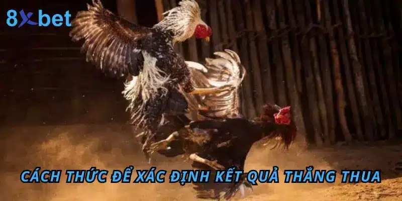 Cách thức để xác định kết quả thắng thua