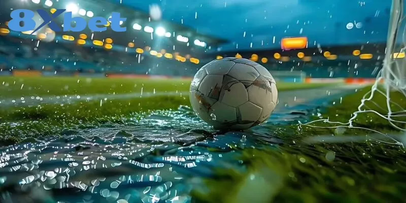 Mẹo cược từ chuyên gia 8XBET giúp tối ưu lợi nhuận